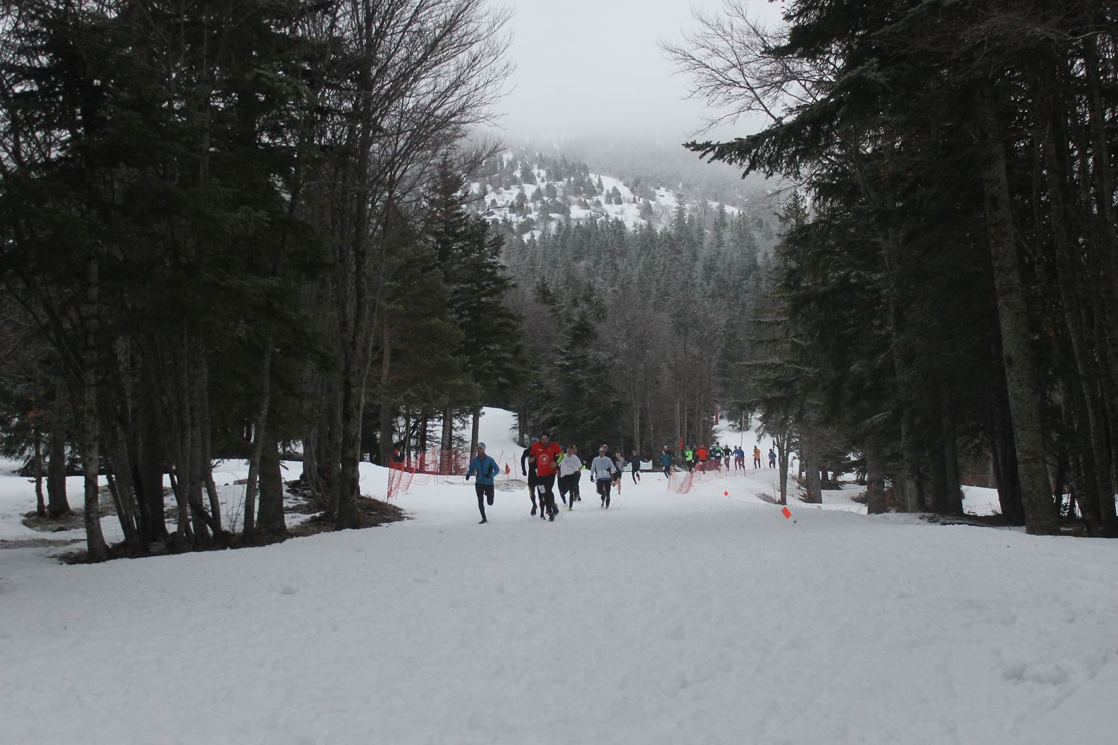 RÉSULTATS DU SIBO TRAIL BLANC LANS EN VERCORS (38) 02/03/2019 copie 0 tête de course dans la forêt - RÉSULTATS DU SIBO TRAIL BLANC LANS EN VERCORS (38) 02/03/2019